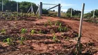 Foto 14 de Fazenda/Sítio com 2 Quartos à venda, 85m² em Zona Rural, Iguaraçu