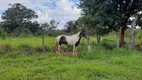 Foto 54 de Fazenda/Sítio com 3 Quartos à venda, 400000m² em Area Rural de Sobradinho, Brasília