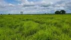 Foto 8 de Fazenda/Sítio à venda, 6135000m² em Zona Rural, Santo Antônio do Leverger