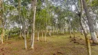 Foto 17 de Fazenda/Sítio à venda, 10000m² em Timbu, Campina Grande do Sul