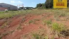 Foto 11 de Lote/Terreno à venda, 1839m² em Rondinha, Campo Largo