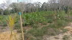 Foto 8 de Lote/Terreno à venda em Porto Seguro, Porto Seguro