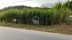 Foto 4 de Lote/Terreno à venda em , Massaranduba