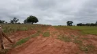 Foto 10 de Fazenda/Sítio à venda, 20000m² em Centro, Votuporanga