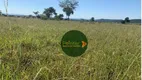 Foto 10 de Fazenda/Sítio à venda, 58080000m² em , Pontal do Araguaia