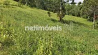 Foto 19 de Fazenda/Sítio com 5 Quartos à venda, 100000m² em , Virgínia