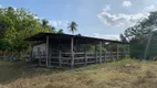 Foto 24 de Fazenda/Sítio com 3 Quartos à venda, 121000m² em Centro, Areia Branca