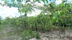 Foto 13 de Fazenda/Sítio com 2 Quartos à venda, 670000m² em Zona Rural, Moju