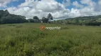 Foto 69 de Fazenda/Sítio com 3 Quartos à venda, 300000000m² em Cascata, Pelotas