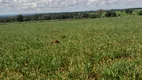 Foto 2 de Fazenda/Sítio à venda em Zona Rural, Montes Claros de Goiás