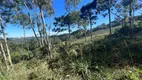 Foto 12 de Lote/Terreno à venda em Tapera, Gramado