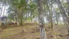 Foto 15 de Fazenda/Sítio à venda, 10000m² em Timbu, Campina Grande do Sul