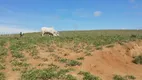 Foto 25 de Fazenda/Sítio com 2 Quartos à venda, 1m² em URURAI, Campos dos Goytacazes