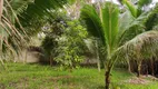 Foto 3 de Fazenda/Sítio com 3 Quartos à venda, 150m² em Centro, Dias D Ávila