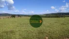 Foto 2 de Fazenda/Sítio à venda, 3000800m² em Zona Rural, Uruana