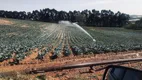 Foto 3 de Fazenda/Sítio com 3 Quartos à venda, 73000m² em Rural, Toledo