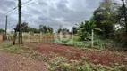 Foto 2 de Lote/Terreno à venda, 1500m² em Sao Roque, Foz do Iguaçu