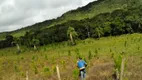 Foto 7 de Fazenda/Sítio com 3 Quartos à venda, 65m² em Zona Rural, Guapiara