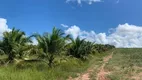 Foto 6 de Fazenda/Sítio com 4 Quartos à venda, 40000m² em Centro, 