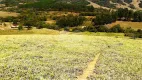 Foto 4 de Fazenda/Sítio à venda, 20031m² em Centro, Monte Sião