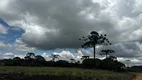 Foto 10 de Lote/Terreno à venda, 20000m² em Vacas Gordas, Urubici