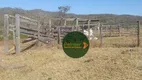 Foto 4 de Fazenda/Sítio à venda, 2178000m² em Zona Rural, São Miguel do Passa Quatro