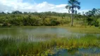 Foto 54 de Fazenda/Sítio com 3 Quartos à venda, 70m² em Zona Rural, João Pinheiro