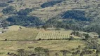 Foto 40 de Lote/Terreno à venda em Zona Rural, Urubici