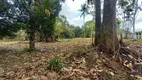 Foto 4 de Fazenda/Sítio à venda, 250000m² em Centro, Manaus