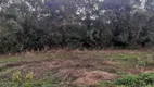 Foto 5 de Fazenda/Sítio para alugar, 5500m² em Água Branca, Francisco Beltrão