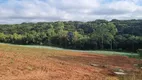 Foto 7 de Fazenda/Sítio com 1 Quarto à venda, 72600m² em Tindiquera, Araucária