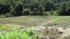 Foto 19 de Fazenda/Sítio com 1 Quarto à venda, 26000m² em Pessegueiros, Teresópolis