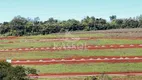 Foto 3 de Lote/Terreno à venda, 360m² em Universitário, Cascavel