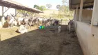 Foto 25 de Fazenda/Sítio com 1 Quarto à venda, 420m² em Zona Rural, Bom Sucesso