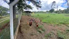 Foto 6 de Fazenda/Sítio com 3 Quartos à venda, 8000m² em Sebandilha, Mairinque