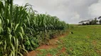 Foto 25 de Fazenda/Sítio com 3 Quartos à venda, 430000m² em Centro, Itaguara