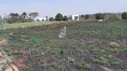 Foto 4 de Lote/Terreno à venda, 2400m² em Residencial Dona Margarida, Santa Bárbara D'Oeste