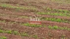 Foto 11 de Fazenda/Sítio à venda, 1161m² em Centro, Flores de Goiás