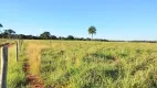 Foto 18 de Fazenda/Sítio com 3 Quartos à venda, 580000m² em Segismundo Pereira, Uberlândia