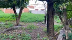 Foto 14 de Fazenda/Sítio com 3 Quartos à venda, 1758m² em Centro, Aimorés