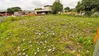 Foto 3 de Lote/Terreno para alugar, 768m² em Uberaba, Curitiba