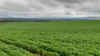 Foto 3 de Fazenda/Sítio à venda em Zona Rural, Alto Paraíso de Goiás