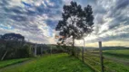 Foto 18 de Fazenda/Sítio com 2 Quartos à venda, 150m² em Fazenda São Borja, São Leopoldo