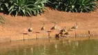 Foto 16 de Casa de Condomínio com 4 Quartos para venda ou aluguel, 554m² em Cidade Universitária, Campinas