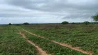 Foto 27 de Fazenda/Sítio com 1 Quarto à venda, 200m² em Zona Rural, Boa Saúde