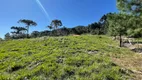 Foto 13 de Fazenda/Sítio com 2 Quartos à venda, 20000m² em Centro, Rancho Queimado