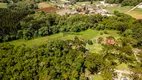 Foto 72 de Fazenda/Sítio com 4 Quartos à venda, 200m² em Ribeirao das Oncas, Colombo