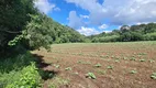 Foto 20 de Fazenda/Sítio com 2 Quartos à venda, 450000m² em Centro, Rio Rufino