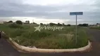 Foto 13 de Lote/Terreno para alugar, 8877m² em Cardoso Continuação , Aparecida de Goiânia