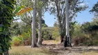 Foto 54 de Fazenda/Sítio com 3 Quartos à venda, 113000m² em Riacho Fundo I, Brasília